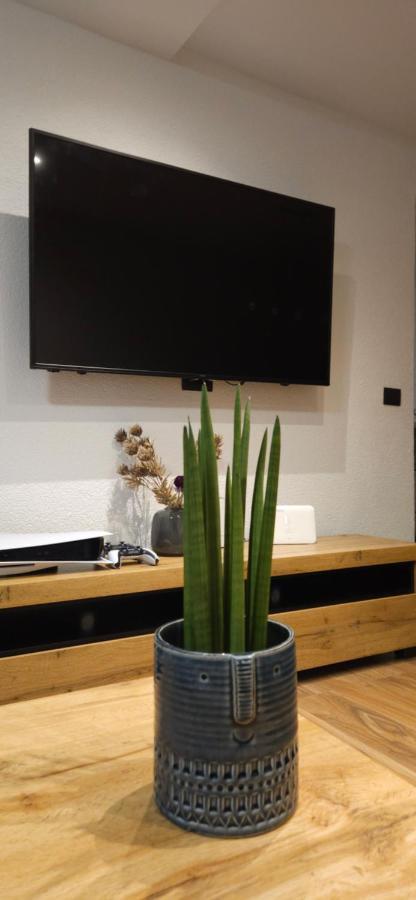 Betty Apartments Borik - Whole Ground Floor ロヴィニ エクステリア 写真